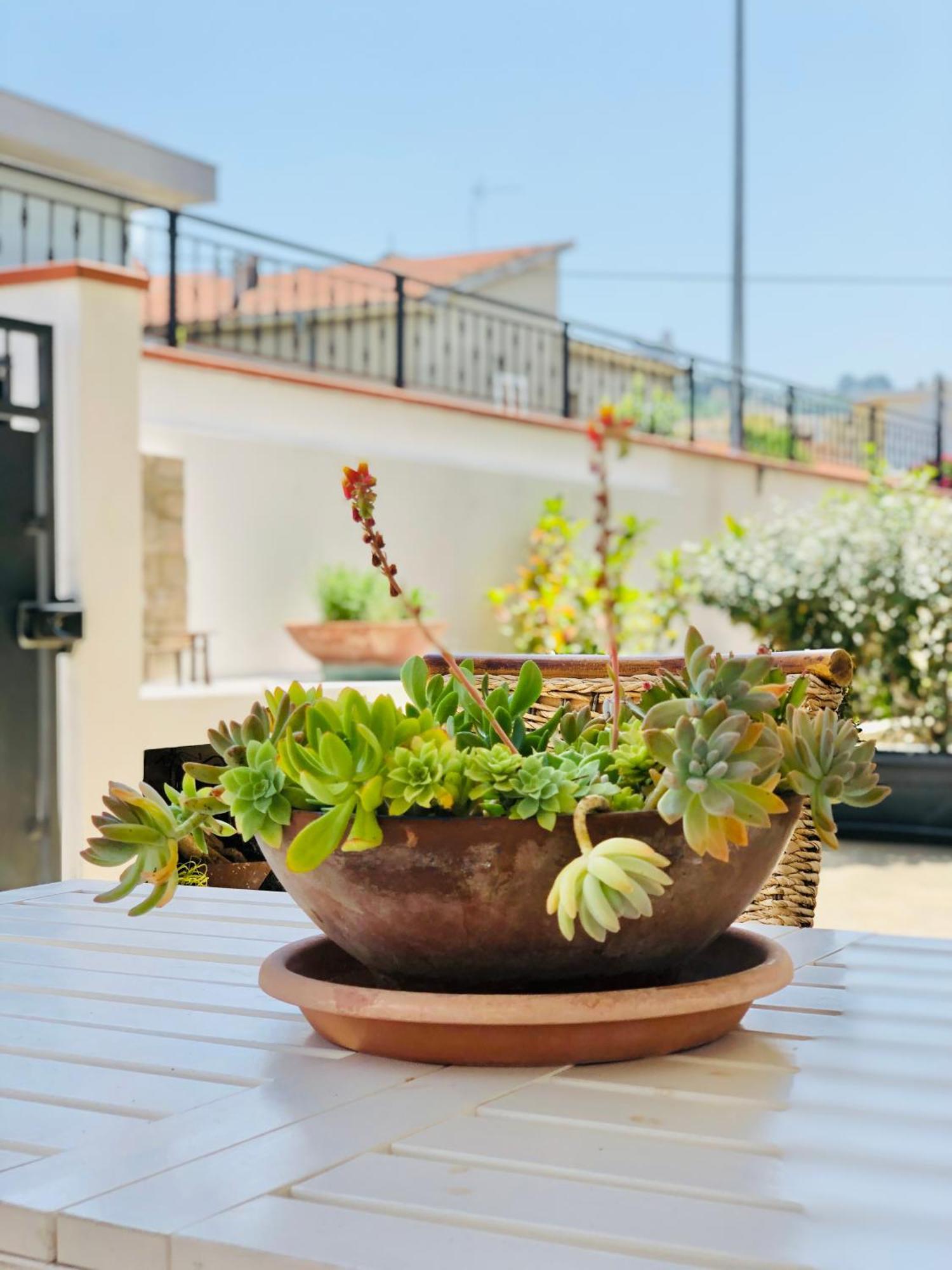 Montesilvano Marina Blue Apricot Apartment Con Jacuzzi מראה חיצוני תמונה